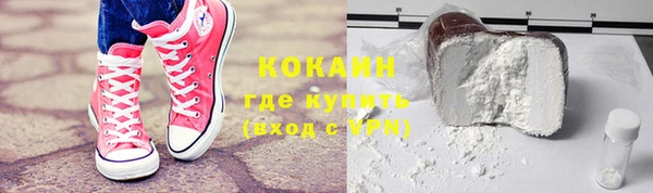 ПСИЛОЦИБИНОВЫЕ ГРИБЫ Гусев